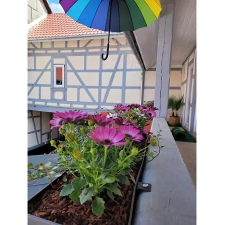 Sternadelshof Apartment Grabe Exterior photo